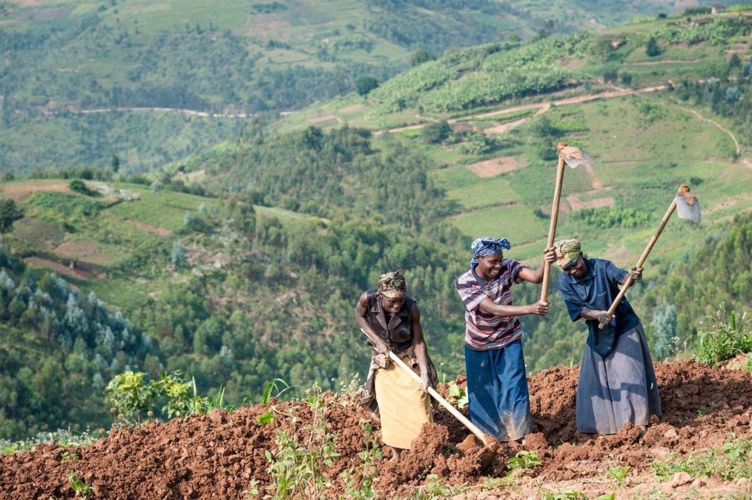 Google Announces USD 900 K Grant to train Kenyan Farmers