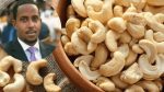 After Championing Many Businesses, This Entrepreneur Is Giving a Facelift To Cashew Production In Tanzania