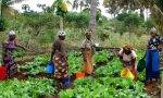 5 Million Female Farmers In Africa Will Benefit By PepsiCo Funded Project