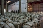 UK Government Invests USD 3 Mn In Rwandan Maize Miller Minimex