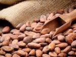 10,000 Cocoa Farmers In Liberia Set To Benefit From USD 47.6 Mn Project
