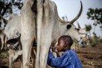 Nigeria Spends USD 1.5 Bn On Milk Imports Annually – The Gov’t Wants To Stop This But People Are Livid