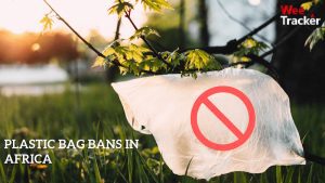 African Countries That Have Banned Polythene Use