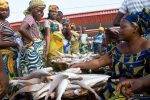 This Is How Much Nigeria Spends Importing Fish Yearly Despite Abundant Water – And It’s A Lot