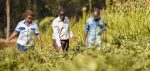 Bayer Foundation Launches USD 20 Mn Fund For African Smallholder Farmers