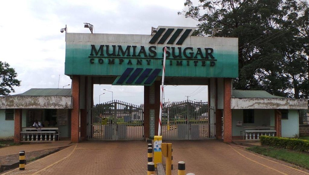 This image has an empty alt attribute; its file name is Mumias-7-1024x580.jpg