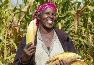 Kenya’s Apollo Agriculture Secures USD 1 Mn Debt Funding