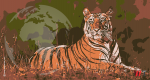 A Neobank’s USD 42 Mn Series B Cements Tiger Global’s African Comeback