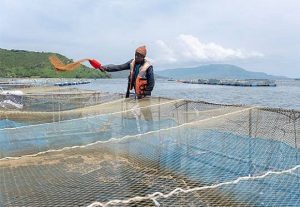 AgDevCo Invests In Kenyan Aquaculture Company Victory Farms