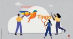 US-Listed Nigerian ‘Agri-Fintech’ Firm Tingo Rocked By Allegations Of Brazen Fraud