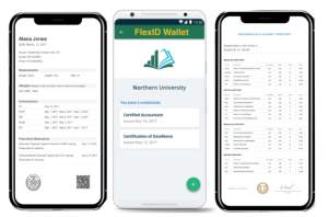 Zimbabwean Blockchain Startup FlexID Technologies Secures Funding