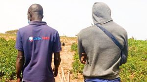 Senegalese Startup Afrikamart Raises USD 850 K Seed Funding