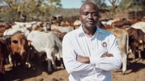 South African Crowd-Farming Startup Livestock Wealth Secures USD 55 K Funding