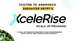 Endeavor Egypt Launches XceleRise To Back Local Entrepreneurs
