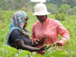 ‘Social Agriculture’ Is Gaining Ground As Kenyan Farmers Embrace Facebook