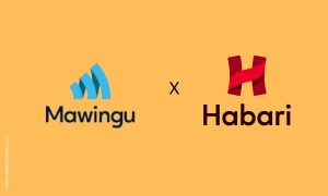 Mawingu Raises USD 15 M and Acquires Tanzania’s Habari Node