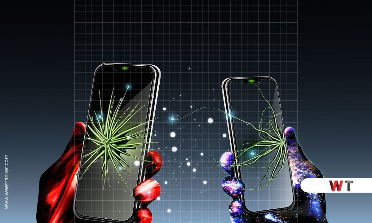 Weetracker_Egypt_TikKok_ban