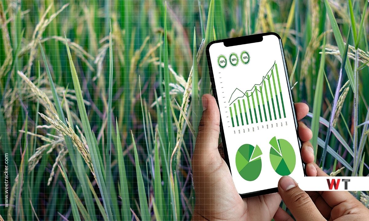 Microsoft Builds AI That Uses Africa's Languages In Farming