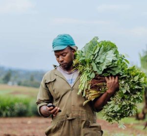 Acumen Raises USD 90 M For Africa Climate-Resilient Agriculture Fund