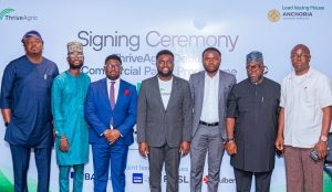 Nigeria’s ThriveAgric Raises USD 3.93 M In First Commercial Paper Series
