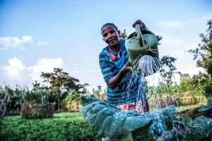 Ethiopian Agritech Startup Lersha Wins USD 100 K MIT Solve Prize