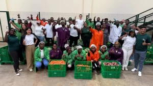 Kenyan Agritech Startup Farm to Feed Secures USD 171 K From Proparco